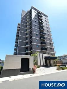 会员限定