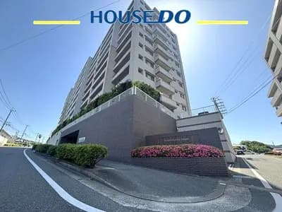 会员限定