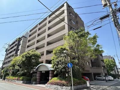 會員限定