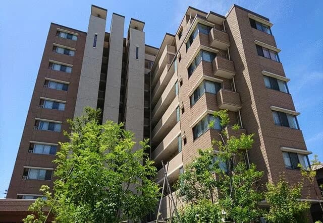 Amex Hakata Chikushi Dori