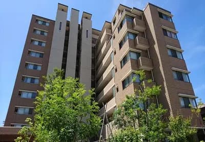 Amex Hakata Chikushi Dori
