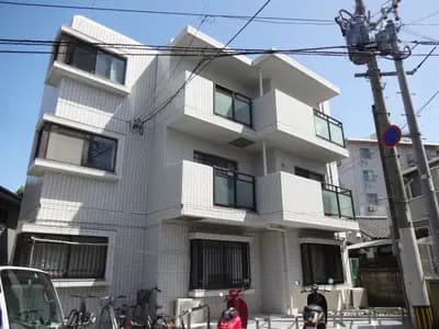 会员限定