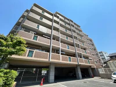 会员限定