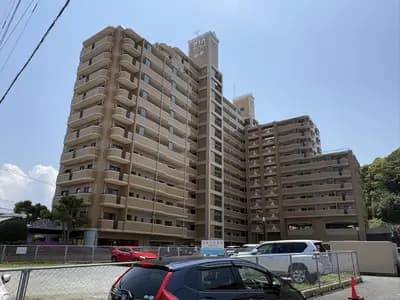會員限定