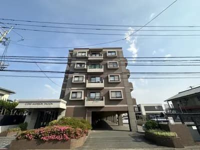 会员限定