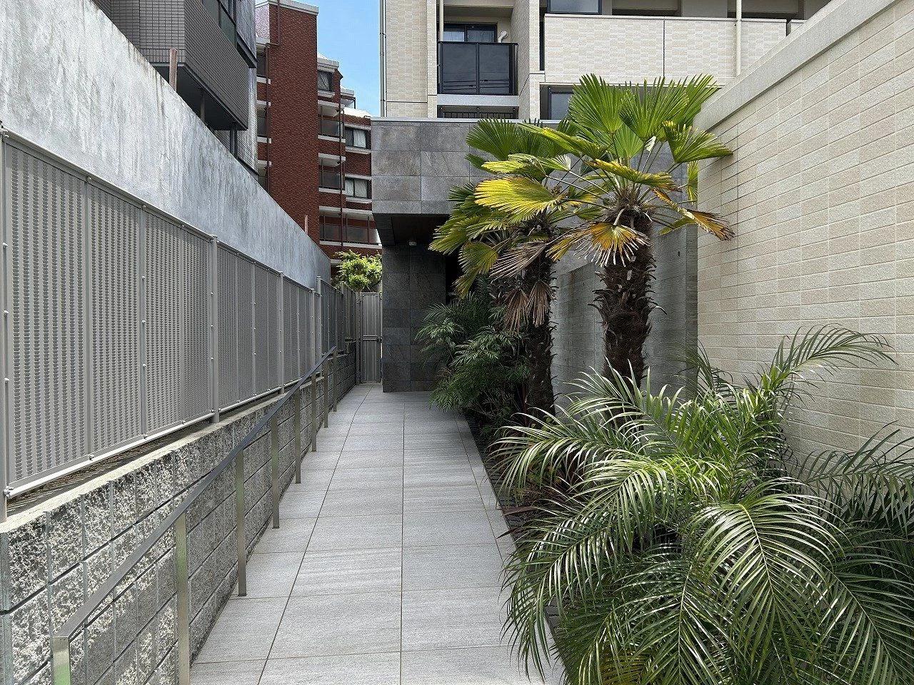 Artemind Shiobaru