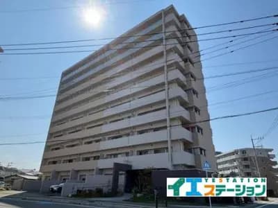 会员限定