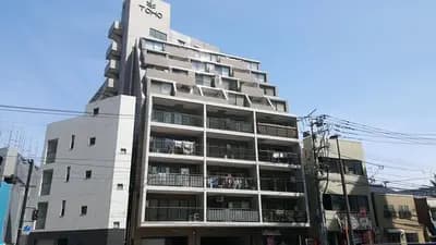 会员限定