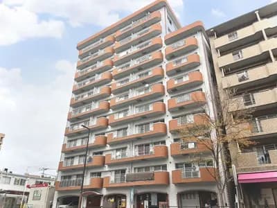 會員限定