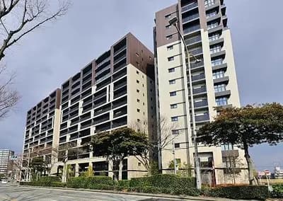 会员限定