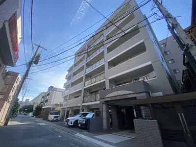 会员限定