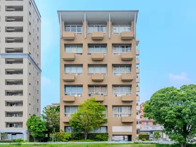 会员限定