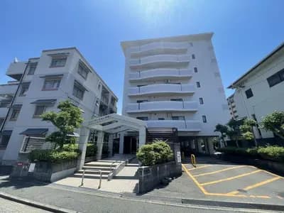 会员限定