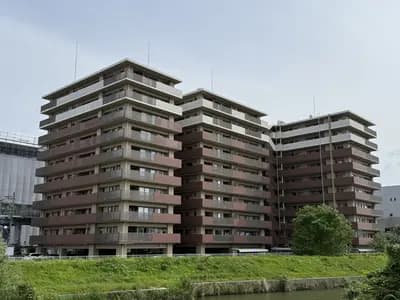 会员限定
