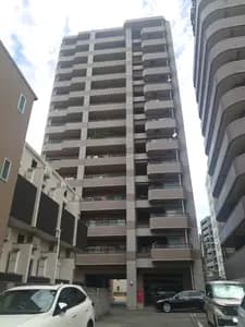 会员限定