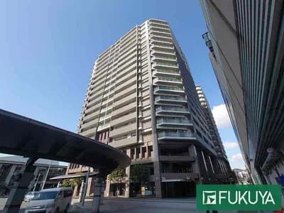 会员限定