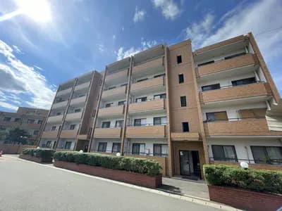 Sunny Crest 荒江