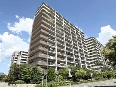 会员限定