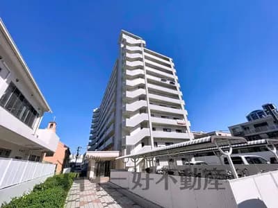 会员限定