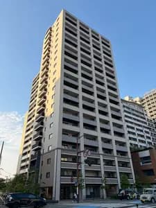 会员限定