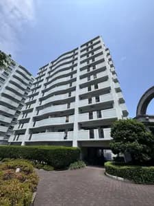 会员限定
