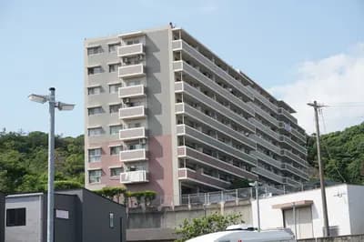會員限定