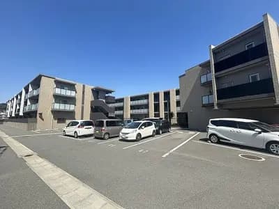 会员限定