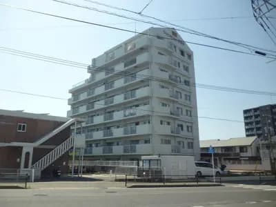 会员限定