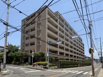 會員限定