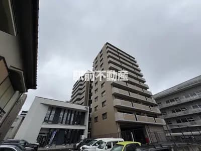 会员限定