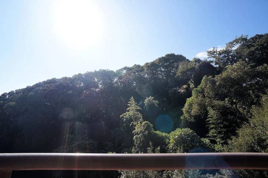 Lions Mansion 長丘Garden Building 2
