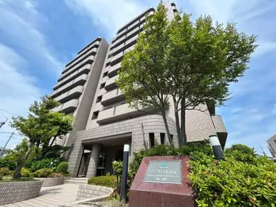 Surpass 原南