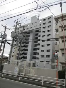 Cosmoteille 吉塚