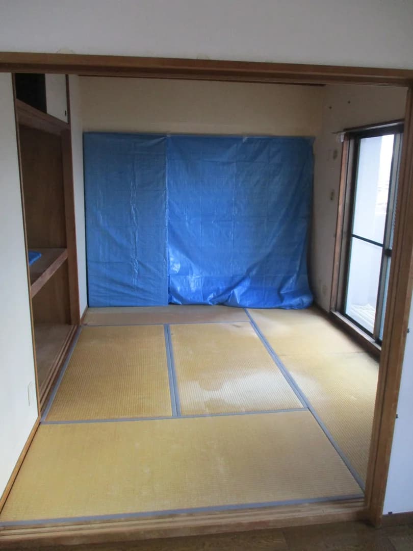 Cosmoteille 吉塚