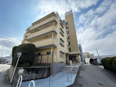 會員限定