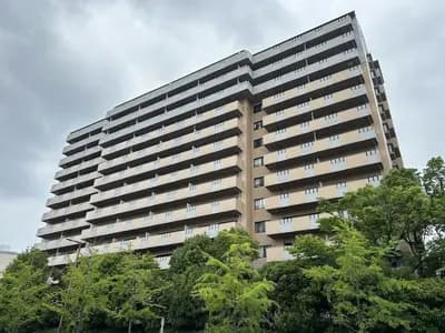 会员限定