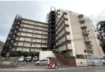 会员限定