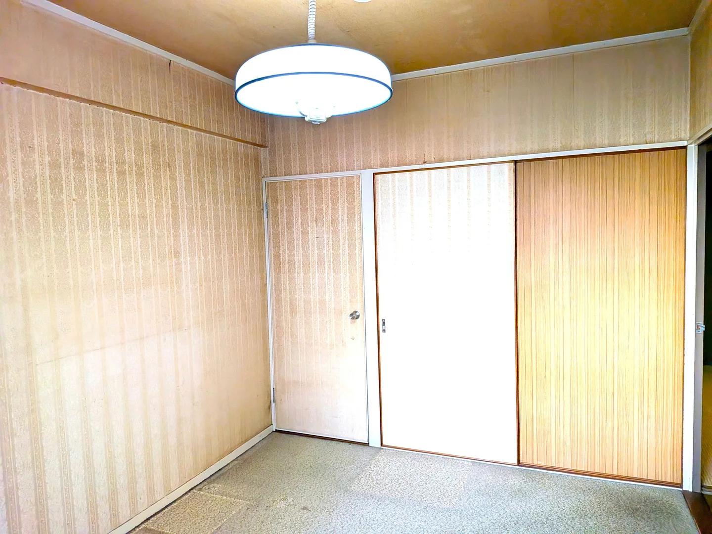 Everlife Kashii No.2