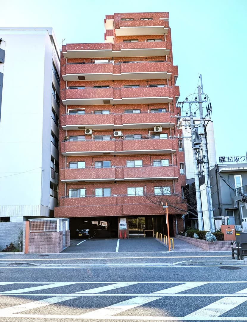 Everlife Kashii No.2