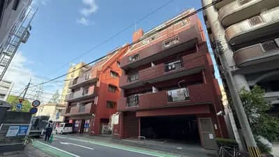 会员限定