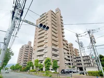 会员限定