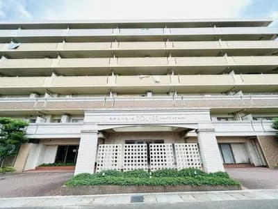 會員限定