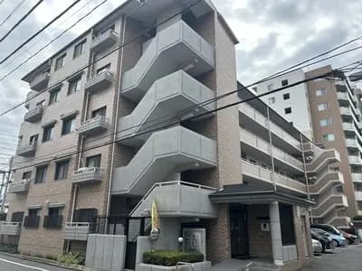 会员限定