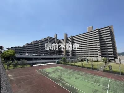 会员限定