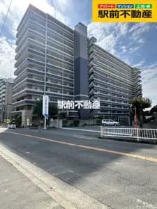 會員限定