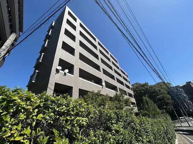 Hills 平尾
