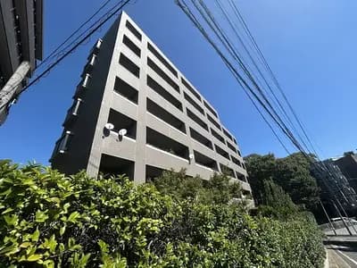 Hills 平尾