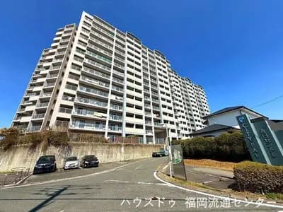 会员限定
