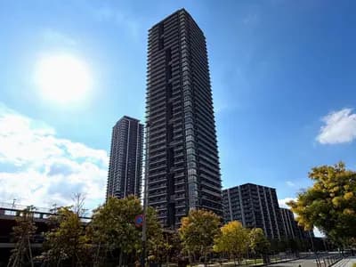 Teruha The Tower