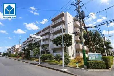 会员限定